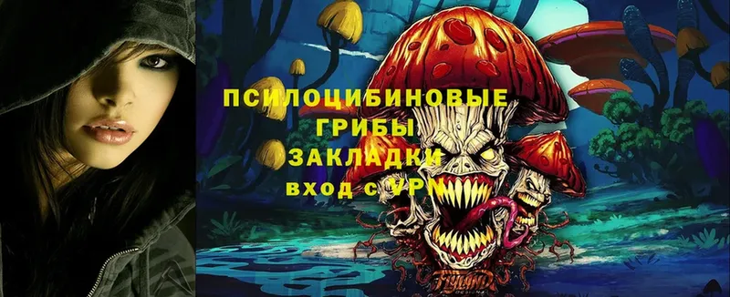 Псилоцибиновые грибы Psilocybe  купить наркотики цена  Демидов 